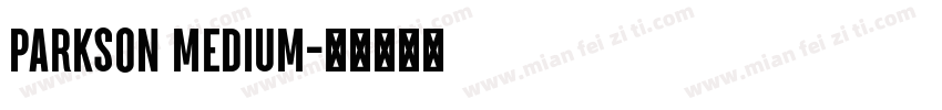 Parkson Medium字体转换